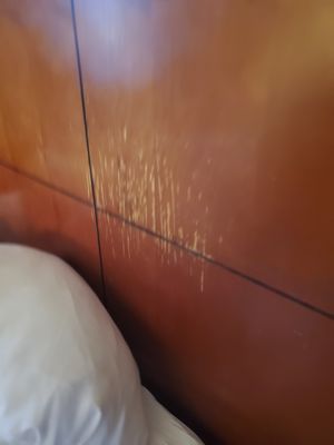 Comfort Inn Boston by null