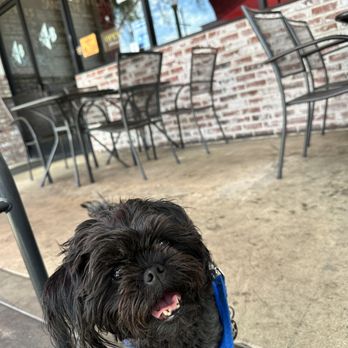 H Brothers - Cosmo- biggest fan!! - Comfort Food Near Me - Escondido, California H Brothers - Cosmo- biggest fan!! - Comfort Food Near Me - Escondido, California