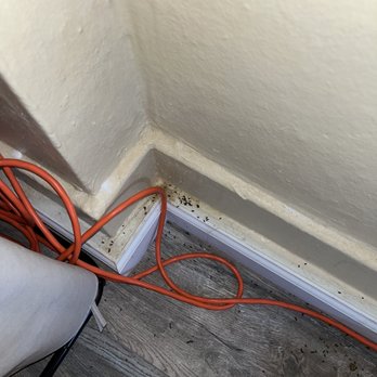 Cascade Senator Apartments - Mouse poop pile - Apartments Near Me - Yakima, Washington