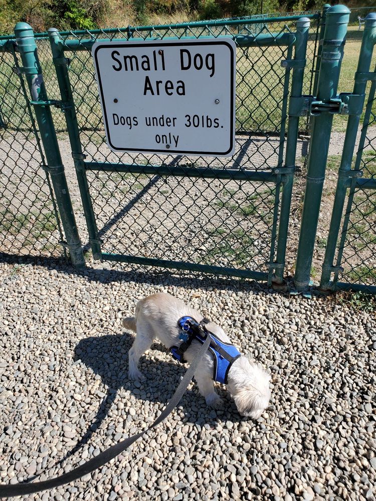 Toad Hollow Dog Park