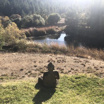 Shambhala Ranch - View of the pond from the deck. - Bed & Breakfast Near Me - Ukiah, California