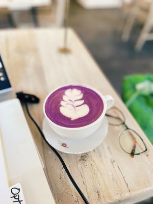 Fiddlehead Fern Cafe by null