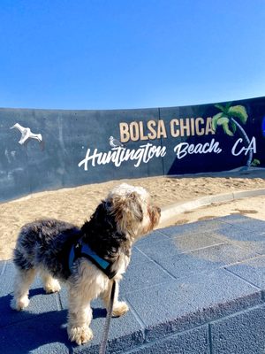 Beach City Provisions by null