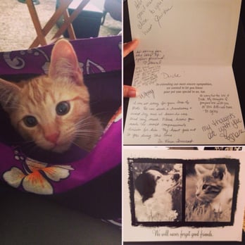 VCA Care Animal Hospital - Awesome since day 1! After our little Dude passed away due to illness, the staff sent us this very personal card. Grateful! - Veterinarians Near Me - Redding, California VCA Care Animal Hospital - Awesome since day 1! After our little Dude passed away due to illness, the staff sent us this very personal card. Grateful! - Veterinarians Near Me - Redding, California