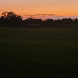 Beautiful Sunset! - A sunset scene with an orange sky, silhouetted trees, and open fields in a rural area.