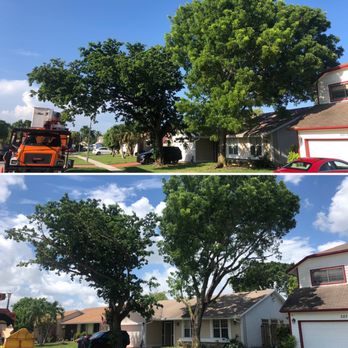 Lumberjack Jake's South Florida Tree Service - Before & After - Tree Services Near Me Lumberjack Jake's South Florida Tree Service - Before & After - Tree Services Near Me