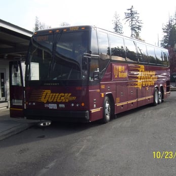 Quick Shuttle Bus Service - returning frolm Canada - Airport Shuttles Near Me - Delta, British Columbia