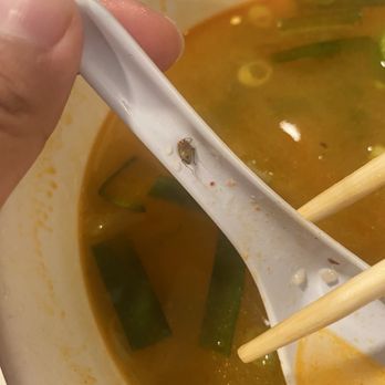 Huong Tra - Vietnamese Near Me - Richmond, California Huong Tra - Vietnamese Near Me - Richmond, California