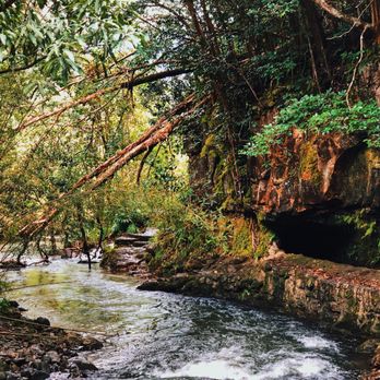 Hike Maui - Tours Near Me - Kahului, Hawaii Hike Maui - Tours Near Me - Kahului, Hawaii