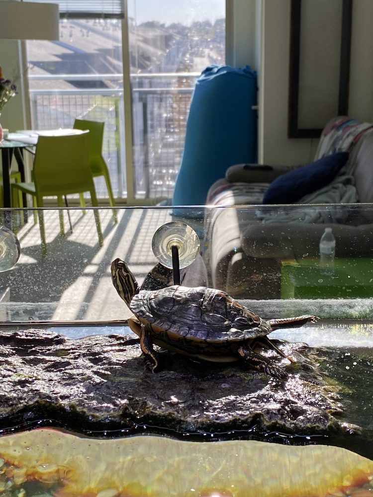 ORADELL VETERINARY GROUP OF HASBROUCK HEIGHTS Updated September 2024