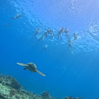 Captain Max Boat Tours - Boat Tours Near Me - Honolulu, Hawaii