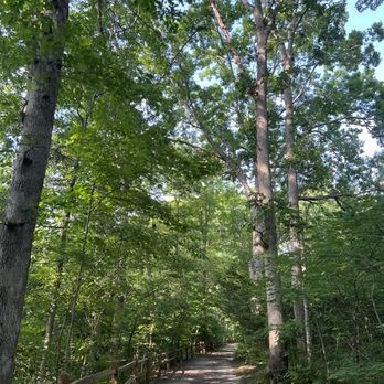 Turkey Run State Park - Parks Near Me - Marshall, Indiana Turkey Run State Park - Parks Near Me - Marshall, Indiana