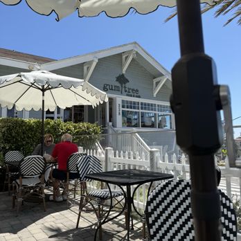 Gum Tree Cafe - Australian Near Me - Hermosa Beach, California Gum Tree Cafe - Australian Near Me - Hermosa Beach, California