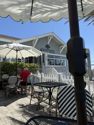 Gum Tree Shop & Café by null