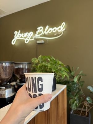 Youngblood Coffee Roasters by null