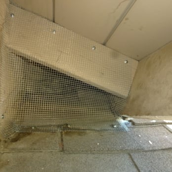 Lowells Wildlife Removal - Half of the Solution on the Roof - Wildlife Control Near Me