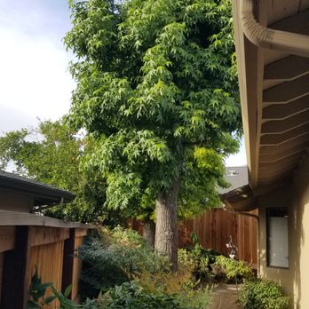 John Le Landscaping - Landscaping Near Me