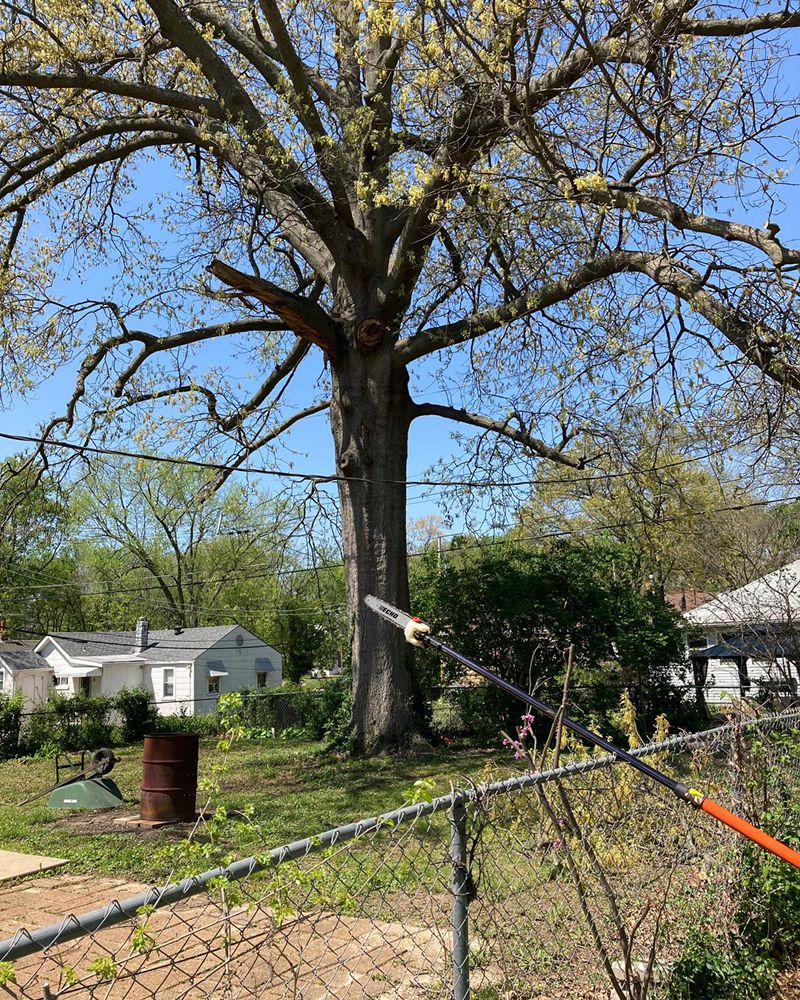 LOW COST TREE AND STUMP Updated May 2024 Request a Quote Valley