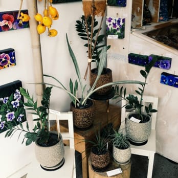 Hanasho - Beautiful indoor plant selection in japanese ceramics - Florists Near Me - West End, QLD Hanasho - Beautiful indoor plant selection in japanese ceramics - Florists Near Me - West End, QLD