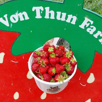 Von Thun Farms - SUPER FRESH Strawberries - Attraction Farms Near Me - Washington, New Jersey