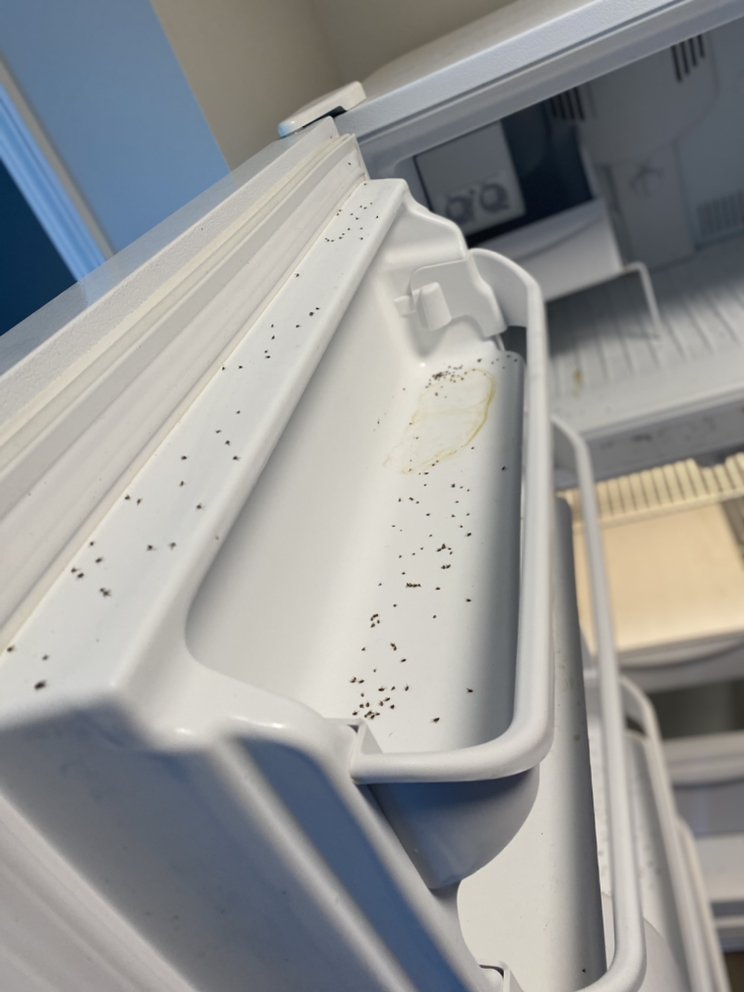 Pruitt’s Professional Cleaning Company - veterans service organization in Savannah, GA