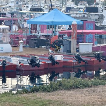 Pretty Pink Boat - I spot our boat!!!! - Boat Charters Near Me - San Diego, California Pretty Pink Boat - I spot our boat!!!! - Boat Charters Near Me - San Diego, California