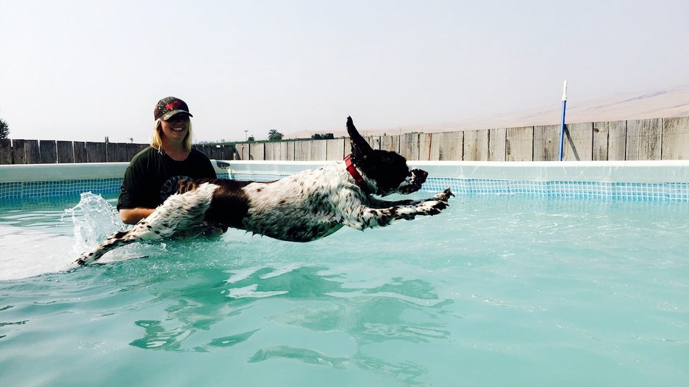 POMONA PET SERVICES Updated September 2024 120 N Corriedale Rd