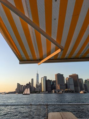 Island Oyster by null