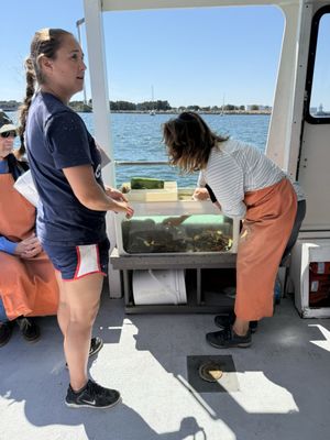 Lucky Catch Cruises by null