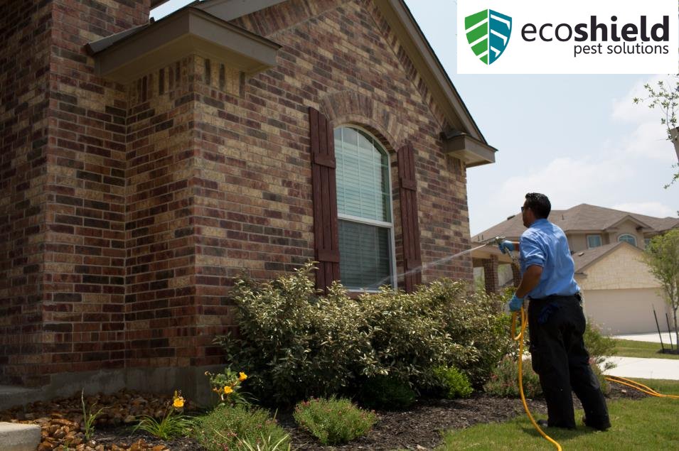ECOSHIELD PEST SOLUTIONS - Updated September 2025 - 85 Photos & 706 ...