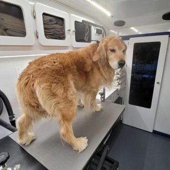 Rolling Paws Mobile Pet Grooming - Pet Groomers Near Me Rolling Paws Mobile Pet Grooming - Pet Groomers Near Me