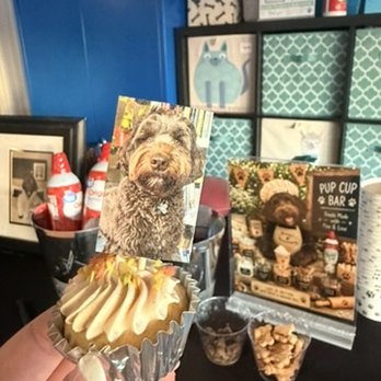 Pup Plaza - Community Service/Non-Profit Near Me - San Jose, California