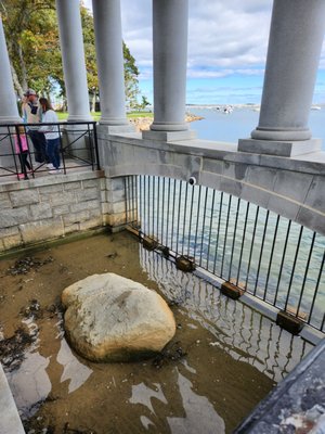 Plymouth Rock by null