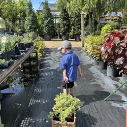 Keep It Green Nursery & Landscape