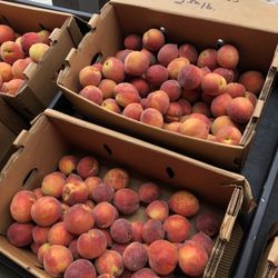 Rosebank Farms - South Carolina peaches. They smell so lovely