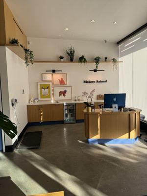 Modern Animal by null