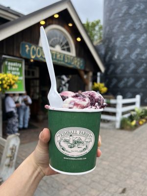 Kimball Farm Westford by null