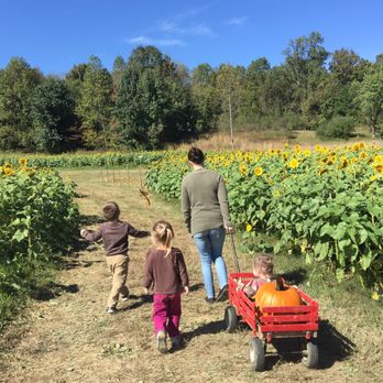 Queen Anne Farm - Farms Near Me - Mitchellville, Maryland Queen Anne Farm - Farms Near Me - Mitchellville, Maryland