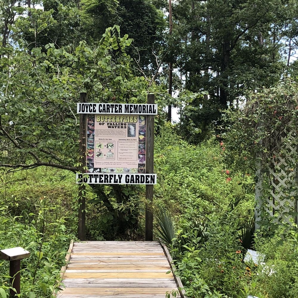 Falling Waters State Park - Butterfly garden - Parks Near Me - Chipley, Florida Falling Waters State Park - Butterfly garden - Parks Near Me - Chipley, Florida
