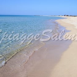Silvimmobiliare