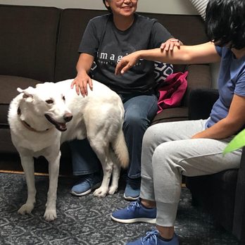 Pets Unleashed by Tink - Session with Leo and Rita - Pet Training Near Me Pets Unleashed by Tink - Session with Leo and Rita - Pet Training Near Me