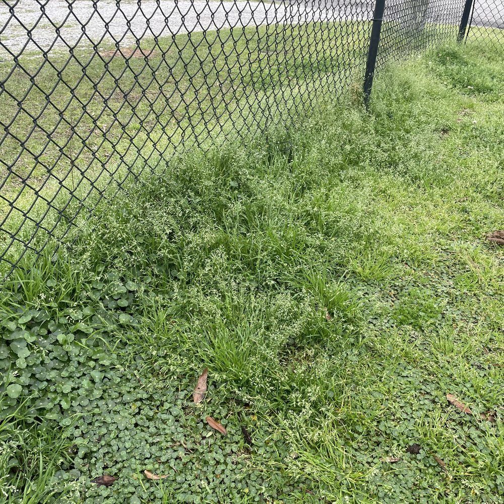 Bark Park - Dog Parks Near Me - Gulfport, Mississippi Bark Park - Dog Parks Near Me - Gulfport, Mississippi