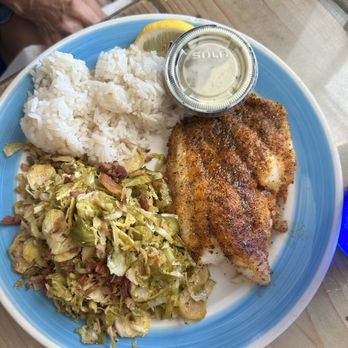 Twisted Lobster - GULF GROUPER - BLACKENED AND SERVED WITH JASMINE COCONUT RICE & BACON BRUSSEL SPROUTS - Seafood Near Me - Cape Coral, Florida Twisted Lobster - GULF GROUPER - BLACKENED AND SERVED WITH JASMINE COCONUT RICE & BACON BRUSSEL SPROUTS - Seafood Near Me - Cape Coral, Florida