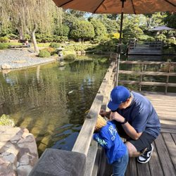 Earl Burns Miller Japanese Garden