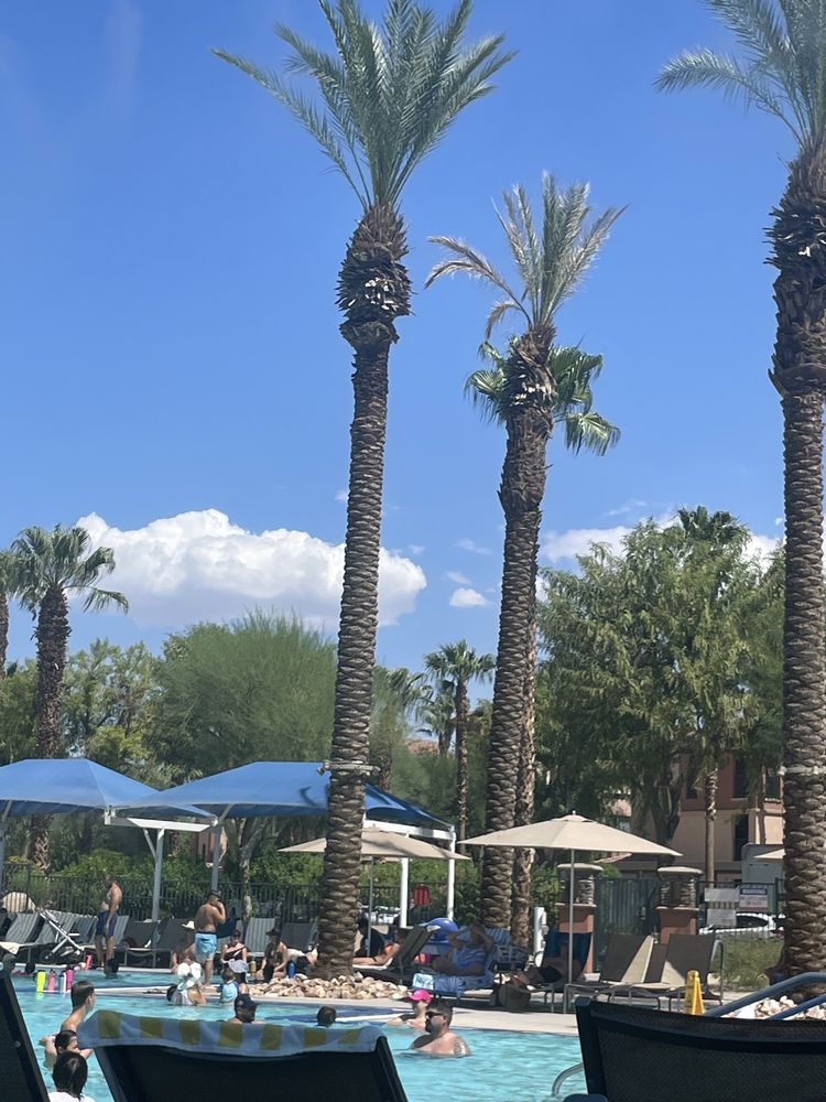 Chuckwalla Lounge Pool Logo