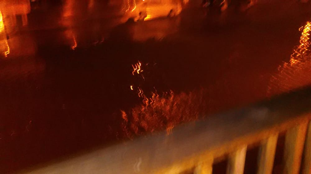 FOREST COVE APARTMENTS Updated September 2024 2218 Farmer Ln