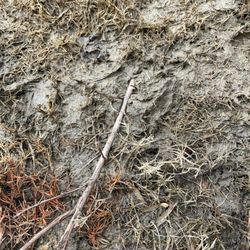 Lake Norman Hardscapes