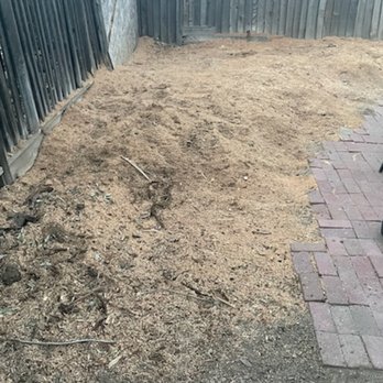 Chavez Tree Service - Tree Services Near Me - Tracy, California Chavez Tree Service - Tree Services Near Me - Tracy, California