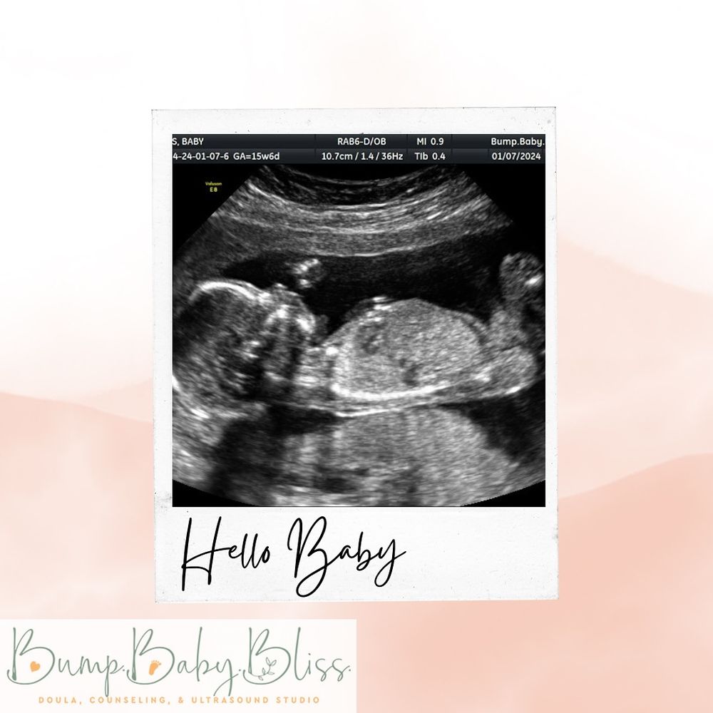Bump Baby Bliss - grief counselor in Greensboro, NC