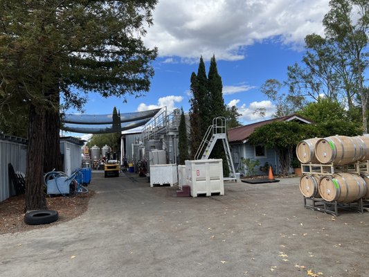 Elyse Winery by null